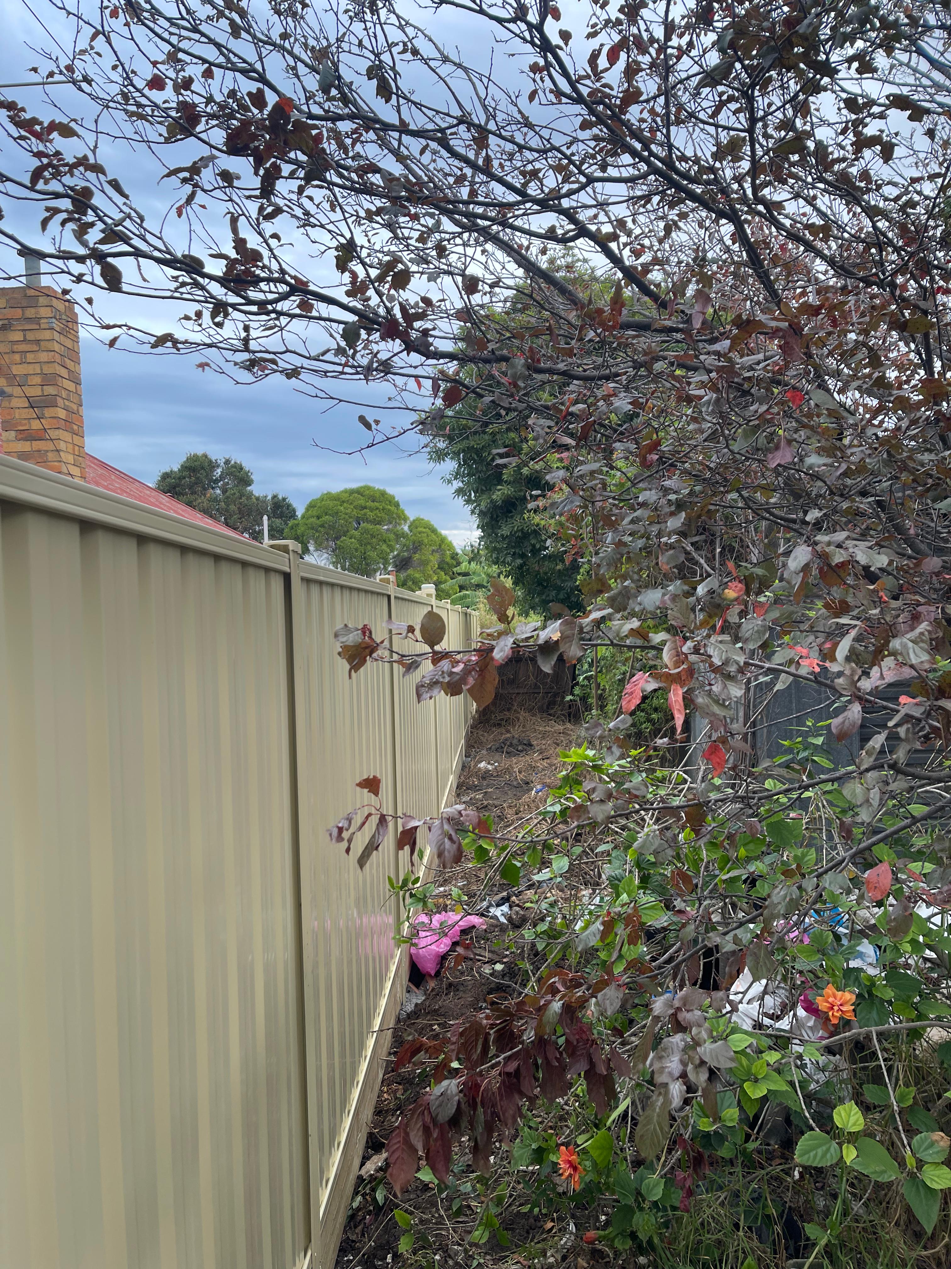 Colorbond Fence Installation Melbourne